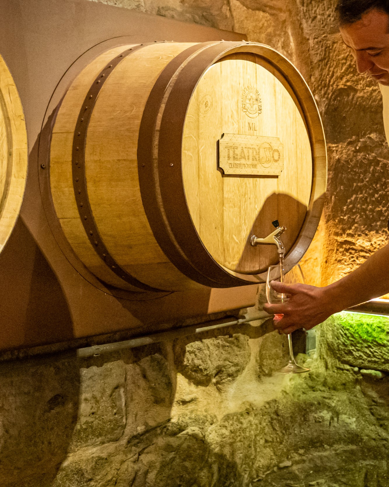 Wine cellar and tasting visit in La Rioja, Spain